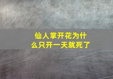 仙人掌开花为什么只开一天就死了