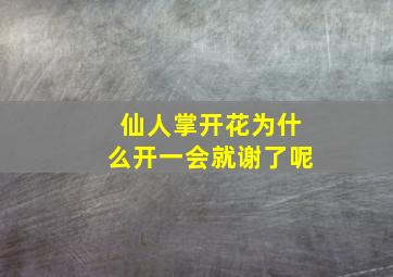 仙人掌开花为什么开一会就谢了呢