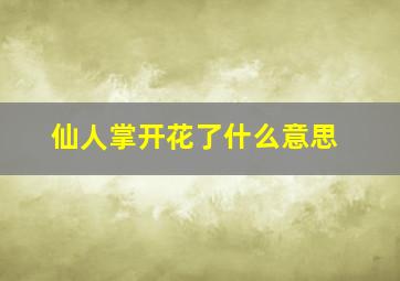 仙人掌开花了什么意思