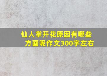 仙人掌开花原因有哪些方面呢作文300字左右