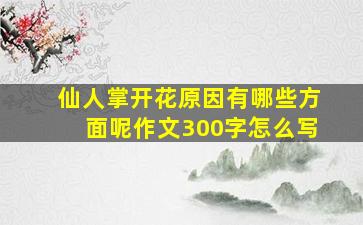 仙人掌开花原因有哪些方面呢作文300字怎么写