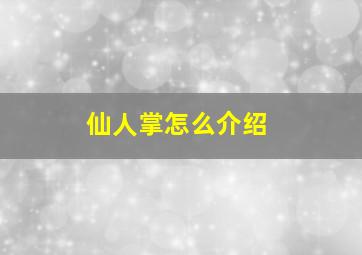 仙人掌怎么介绍