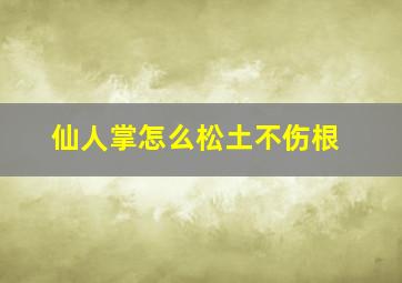 仙人掌怎么松土不伤根