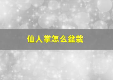 仙人掌怎么盆栽