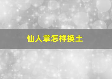 仙人掌怎样换土