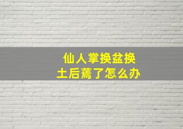 仙人掌换盆换土后蔫了怎么办