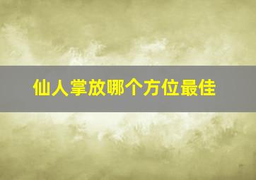 仙人掌放哪个方位最佳