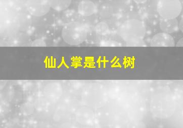 仙人掌是什么树