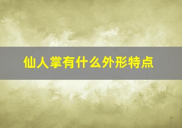 仙人掌有什么外形特点