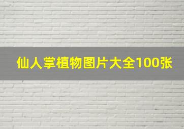 仙人掌植物图片大全100张