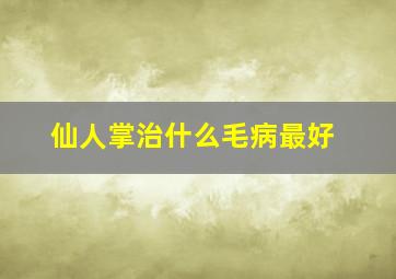 仙人掌治什么毛病最好