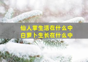 仙人掌生活在什么中白萝卜生长在什么中