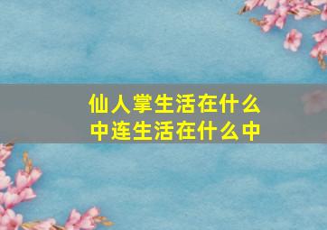 仙人掌生活在什么中连生活在什么中