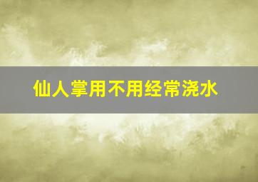 仙人掌用不用经常浇水