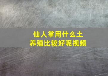 仙人掌用什么土养殖比较好呢视频