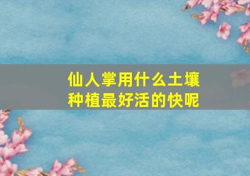 仙人掌用什么土壤种植最好活的快呢