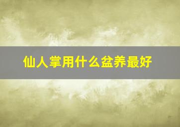 仙人掌用什么盆养最好