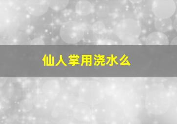 仙人掌用浇水么