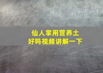 仙人掌用营养土好吗视频讲解一下