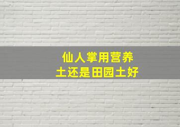 仙人掌用营养土还是田园土好