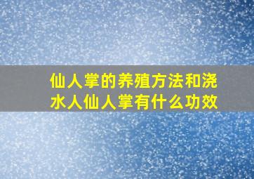 仙人掌的养殖方法和浇水人仙人掌有什么功效