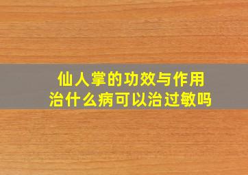 仙人掌的功效与作用治什么病可以治过敏吗