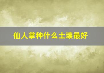 仙人掌种什么土壤最好