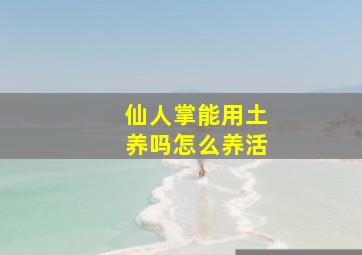 仙人掌能用土养吗怎么养活