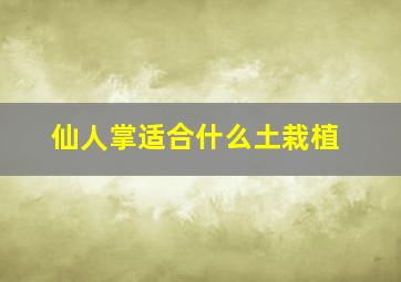 仙人掌适合什么土栽植