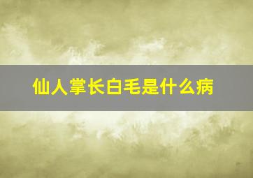 仙人掌长白毛是什么病