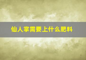 仙人掌需要上什么肥料