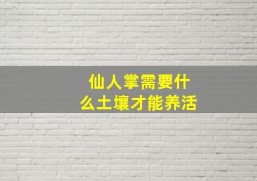 仙人掌需要什么土壤才能养活