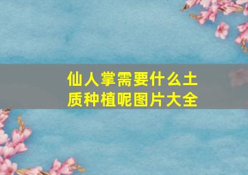 仙人掌需要什么土质种植呢图片大全