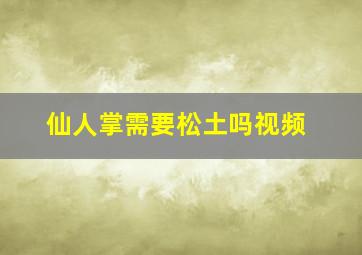 仙人掌需要松土吗视频