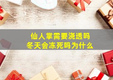 仙人掌需要浇透吗冬天会冻死吗为什么