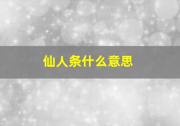 仙人条什么意思