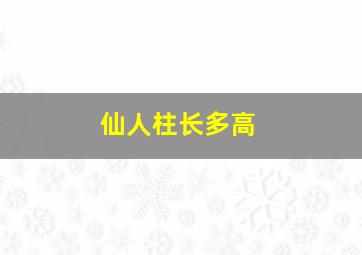 仙人柱长多高