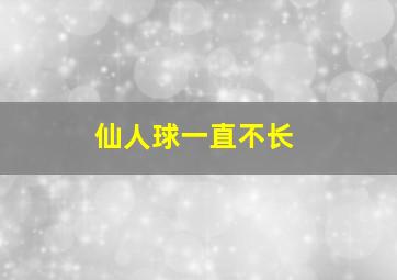 仙人球一直不长