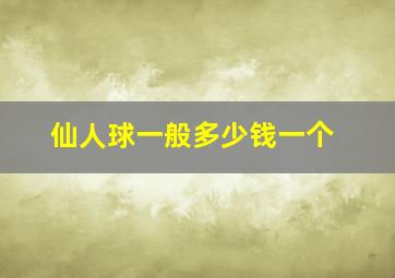 仙人球一般多少钱一个