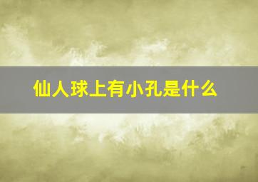 仙人球上有小孔是什么