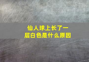 仙人球上长了一层白色是什么原因