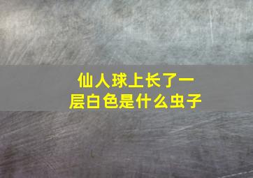 仙人球上长了一层白色是什么虫子