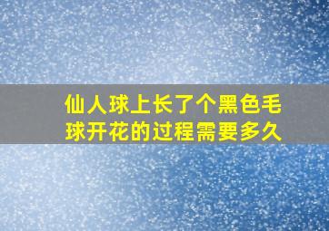 仙人球上长了个黑色毛球开花的过程需要多久