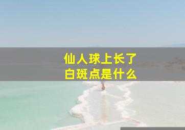 仙人球上长了白斑点是什么