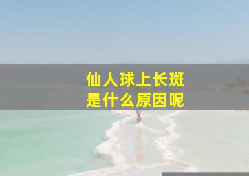 仙人球上长斑是什么原因呢