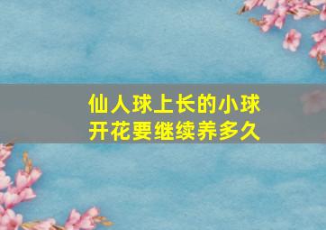 仙人球上长的小球开花要继续养多久