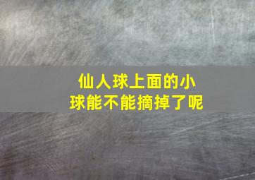 仙人球上面的小球能不能摘掉了呢