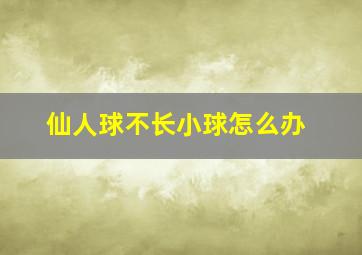 仙人球不长小球怎么办