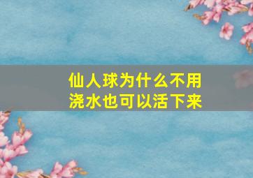 仙人球为什么不用浇水也可以活下来