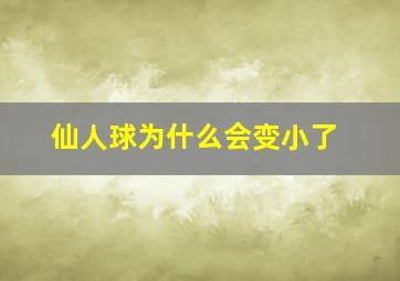 仙人球为什么会变小了